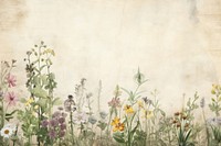 Meadow watercolour border herbs backgrounds painting.