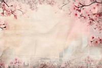 Pressed dried cherry blossom with Paris style border backgrounds outdoors flower.