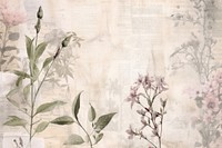 French cafe border herbs backgrounds pattern.