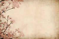 Dried cherry blossom border backgrounds flower plant.