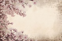 Cherry blossom with butterfly border backgrounds outdoors nature.