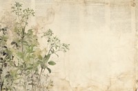 Watercolour border herbs backgrounds plant.