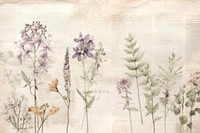 Peace watercolour border herbs backgrounds lavender.