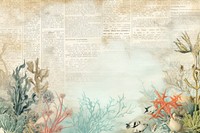 Sea life border page backgrounds paper.