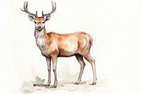 Deer wildlife cartoon animal.