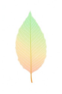 Tree leaf plant line pattern.