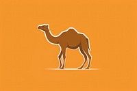 Camel vector logo animal mammal kangaroo.