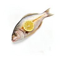 Raw dorado fish animal lemon fruit. AI generated Image by rawpixel.