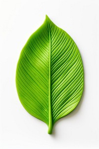 Plasticine of a leaf plant white background freshness.
