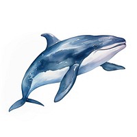 Orca Whale whale dolphin animal. AI generated Image by rawpixel.