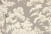 Cotton flower white backgrounds wallpaper.