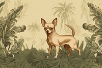 Toile wallpaper a single Chihuahua chihuahua land mammal.