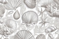 Toile wallpaper shell seashell silver sketch.