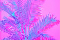 Palm Tree backgrounds purple plant.