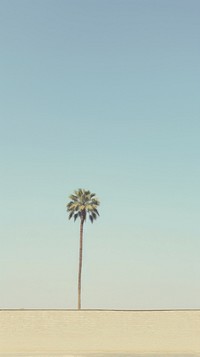 Oasis outdoors nature plant. AI generated Image by rawpixel.