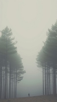 Forest outdoors nature mist. AI generated Image by rawpixel.