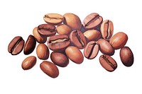 Coffee beans food white background freshness.