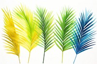 Palm leaves backgrounds plant leaf.