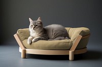 Green cat bed mockup psd