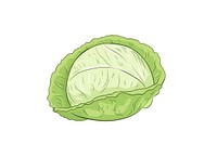 Cabbage vegetable plant food.