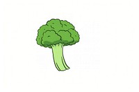Broccoli vegetable drawing plant.