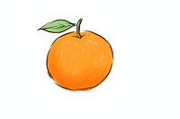 Orange fruit plant food.