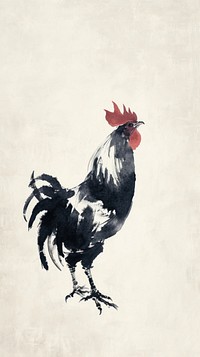 Ink painting minimal of chicken poultry animal white.