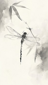 Ink painting minimal of dragonfly drawing animal insect.