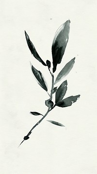 Ink painting minimal of olive drawing sketch plant.