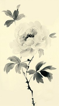 Ink painting minimal of peony blossom pattern drawing.