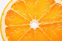 Orange fruit slide backgrounds grapefruit plant.