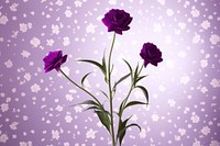 Cute flower purple wallpaper purple theme petal plant rose.