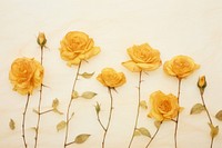 Real pressed yellow rose flowers petal plant inflorescence.