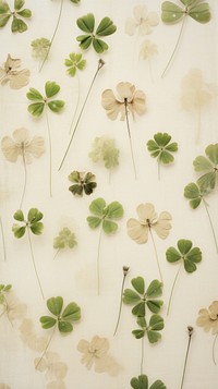 PNG Real pressed clover leaves wall backgrounds wallpaper. 