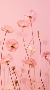PNG Real pressed dried cute flowers petal plant pink. AI generated Image by rawpixel.