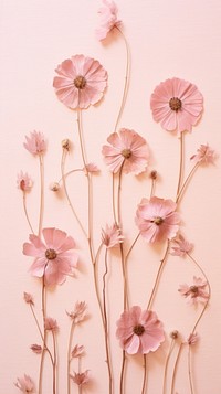 PNG Real pressed dried cute flowers wall pattern petal. AI generated Image by rawpixel.