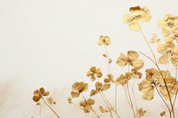 Real pressed gold flowers backgrounds nature plant.