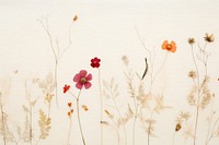 Real pressed japanese flowers backgrounds pattern plant.