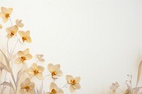 Real pressed orchid flowers backgrounds petal plant.