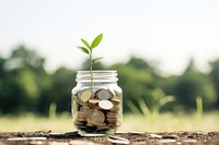 Jar of money plant green investment.