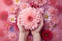 Hope Bloom hand flower petal. AI generated Image by rawpixel.