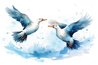 Watercolor seagulls flying drawing animal.