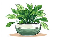 Indoor plant cartoon green herbs.