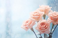  Blurred roses flower plant drop. AI generated Image by rawpixel.