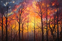 Forest sunset painting fire tranquility.