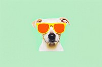 Dog wearing a sunglasses mammal animal pet.