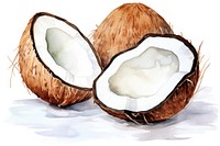 Coconut food freshness produce.