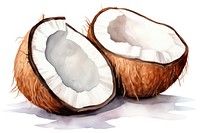 Coconut freshness eggshell produce.
