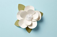 White paper flowers plant art inflorescence.