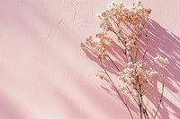 Dried flowers nature wall backgrounds.